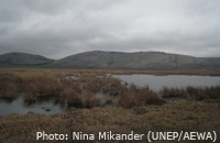 „Excursion to the Dragoman Marsh which is the biggest natural karst wetland in Bulgaria and a designated Ramsar site“ (Photo: Nina Mikander (UNEP/AEWA)