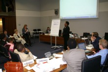Miriam Zacharia addressing other delegates during a workshop at AEWA StC4 in Bonn, Germany