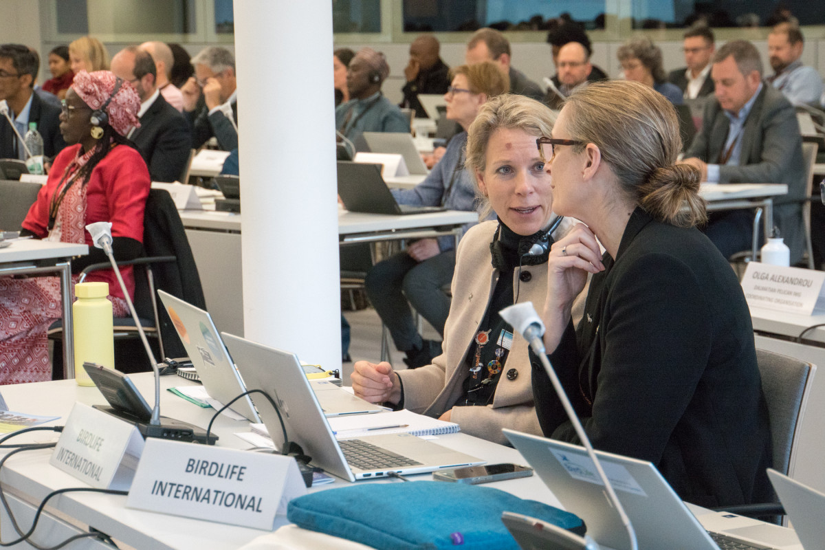 Representatives of BirdLife International attenting AEWA MOP9 working group discussions at the UN Campus in Bonn, Germany / Photo by Aydin Bahramlouian (CC BY-NC 4.0)