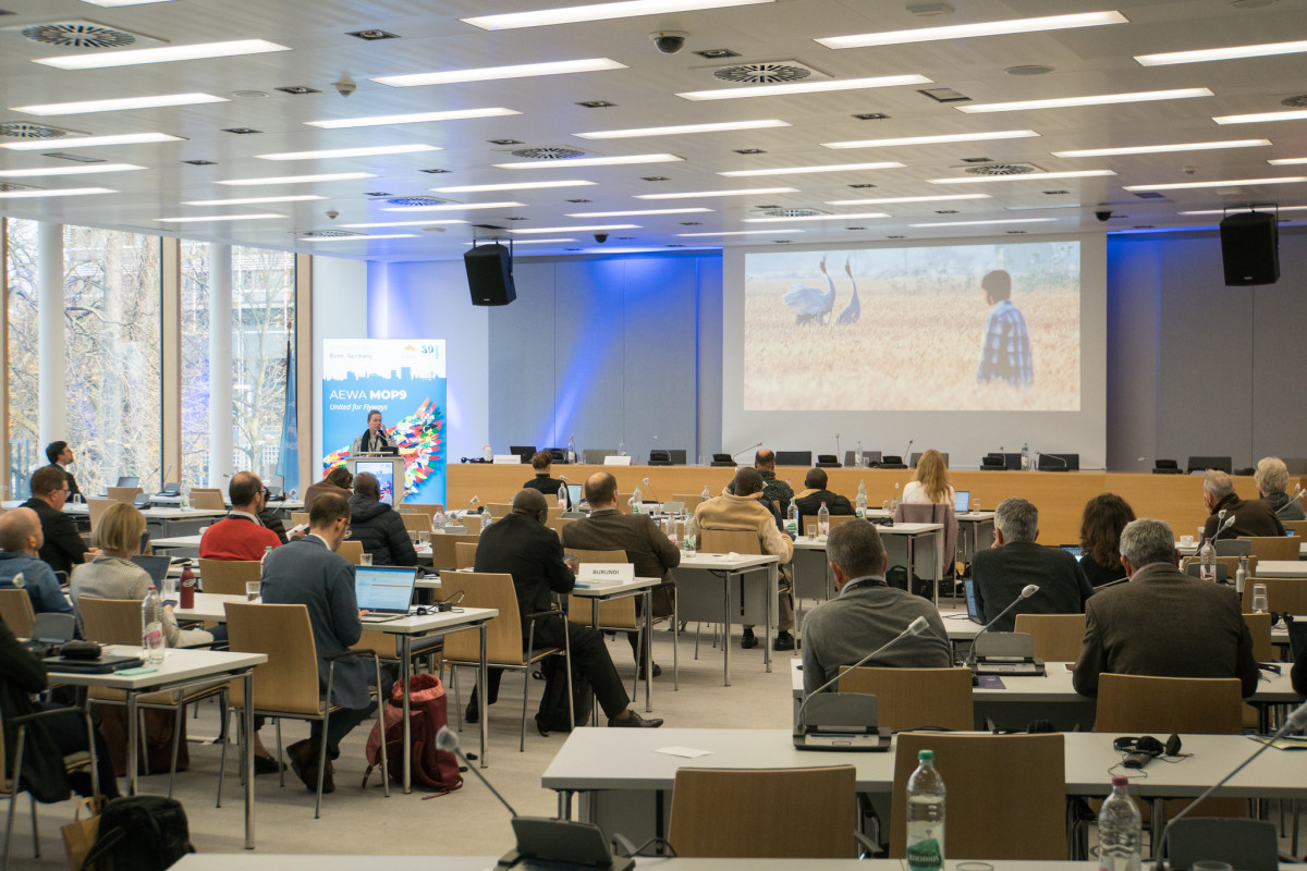 Side Event Day at AEWA MOP9 held on the UN Campus in Bonn, Germany / Photo by Aydin Bahramlouian (CC BY-NC 4.0)