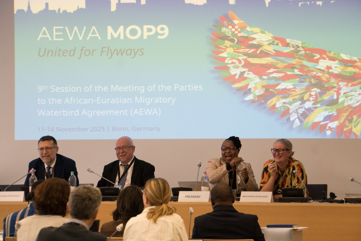 Africa Group Photo on the final day of AEWA MOP9 held at the UN Campus in Bonn, Germany. / Photo by Florian Keil (CC BY-NC 4.0)