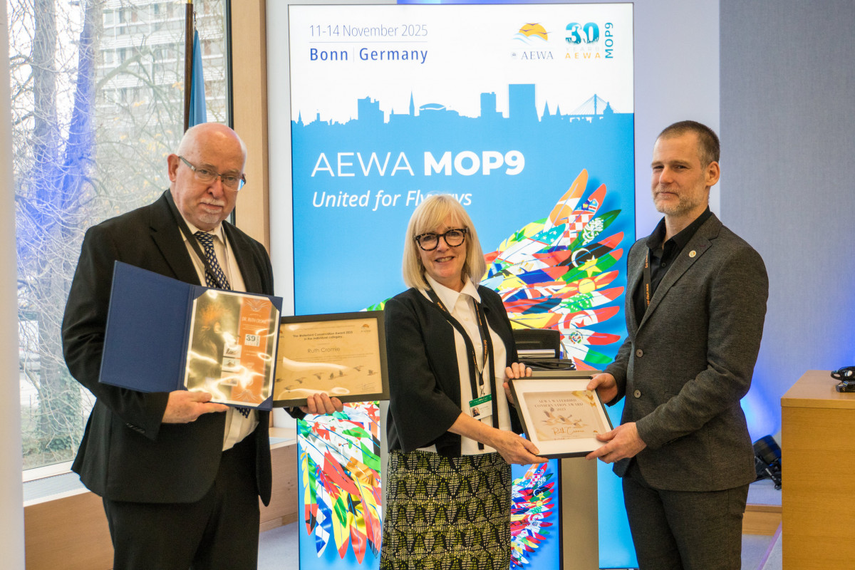Dr. Ruth Cromie, recipient of the 2025 AEWA Conservation Award in the individual category, receiving the award on the final day of AEWA MOP9 in plenary on 14 November 2025 / Photo by Aydin Bahramlouian (CC BY-NC 4.0)