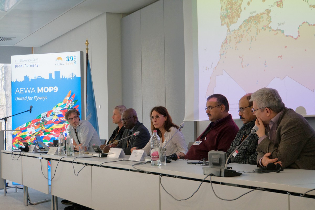 Side Event to mark the 60th Anniversary of the International Waterbird Census (IWC) at AEWA MOP9 in Bonn, Germany / Photo by Aydin Bahramlouian (CC BY-NC 4.0)