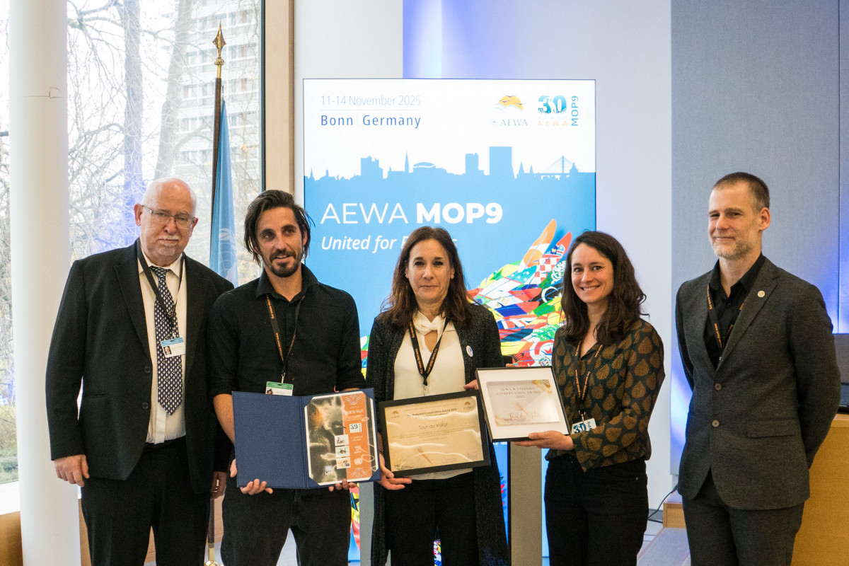 Tour du Valat team receiving the 2025 AEWA Conservation Award in the institutional category on the final day of AEWA MOP9 in plenary on 14 November 2025 / Photo by Aydin Bahramlouian (CC BY-NC 4.0)
