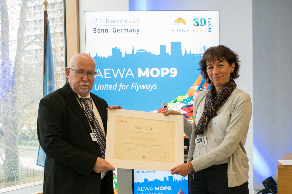 Ms. Sylvia Barova, Policy Officer in the Nature Unit at DG Environment receiving the Champion Plus recognition on behalf of the European Commission on the final day of AEWA MOP9 in plenary on 14 November 2025 / Photo by Aydin Bahramlouian (CC BY-NC 4.0)