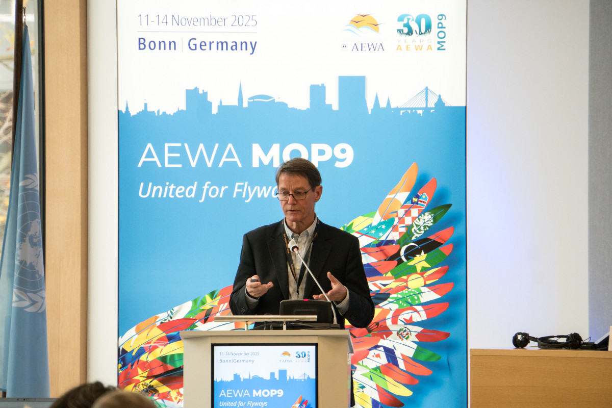 Side Event Day at AEWA MOP9 held on the UN Campus in Bonn, Germany / Photo by Aydin Bahramlouian (CC BY-NC 4.0)