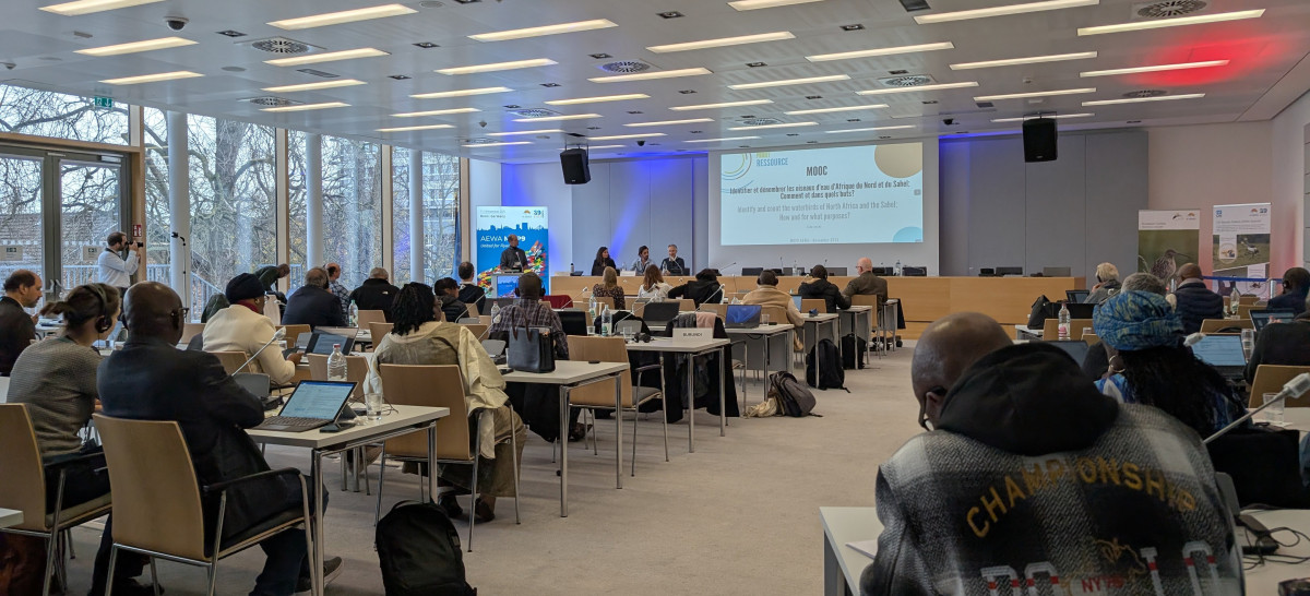 MOOC Side Event Day at AEWA MOP9 held on the UN Campus in Bonn, Germany / Photo by Florian Keil (CC BY-NC 4.0)