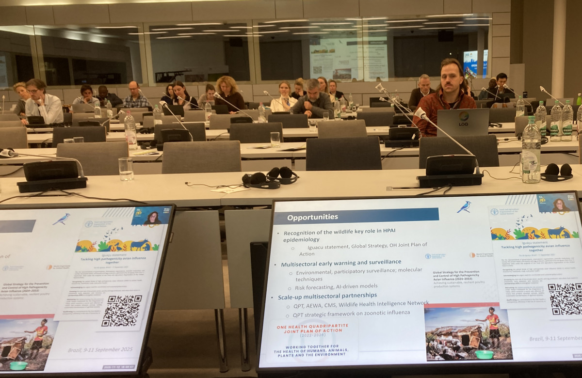 One Health Side Event at AEWA MOP9 in Bonn, Germany / Photo by Jacques Trouvilliez (CC BY-NC 4.0)