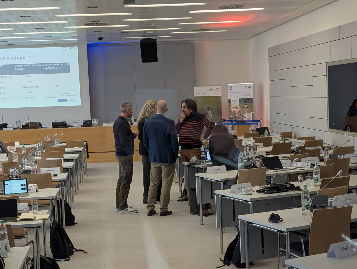 Nick Warmelink (The Netherlands) taking the floor during AEWA MOP9 working group discussions at the UN Campus in Bonn, Germany / Photo by Aydin Bahramlouian (CC BY-NC 4.0)