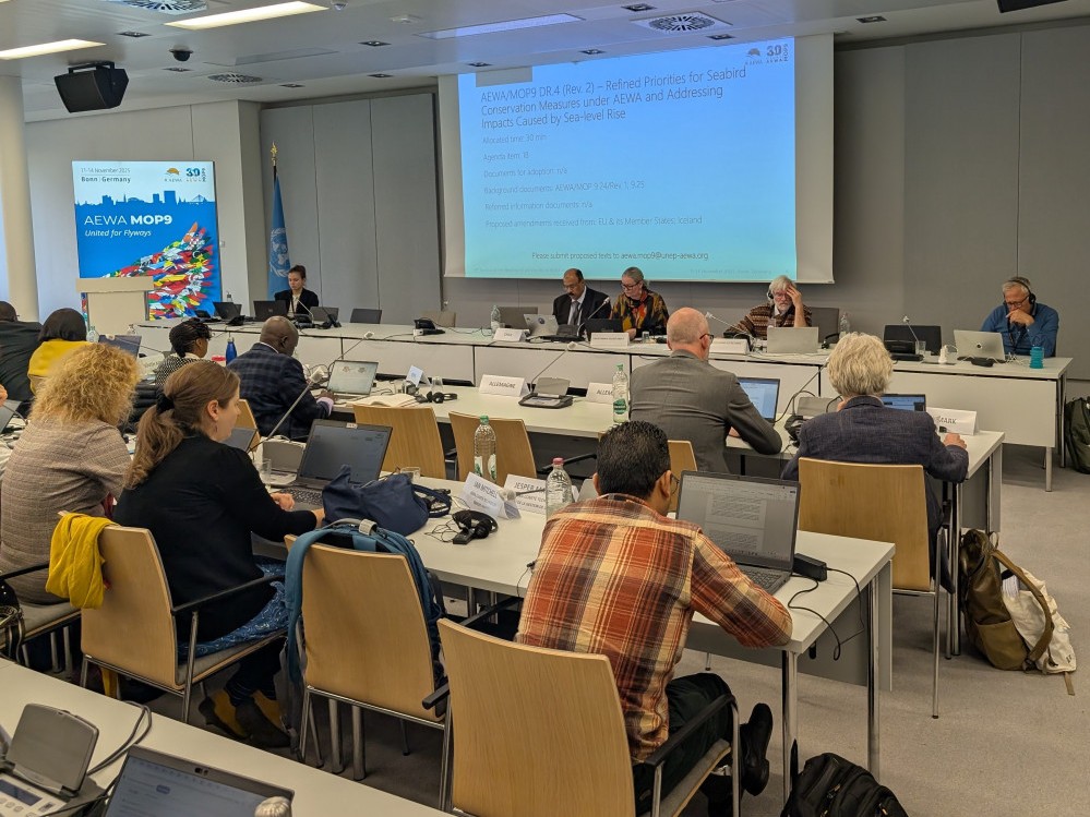 Working Group I on Scientific and Technical Matters at AEWA MOP9 in Bonn, Germany. / Photo by Florian Keil (CC BY-NC 4.0)