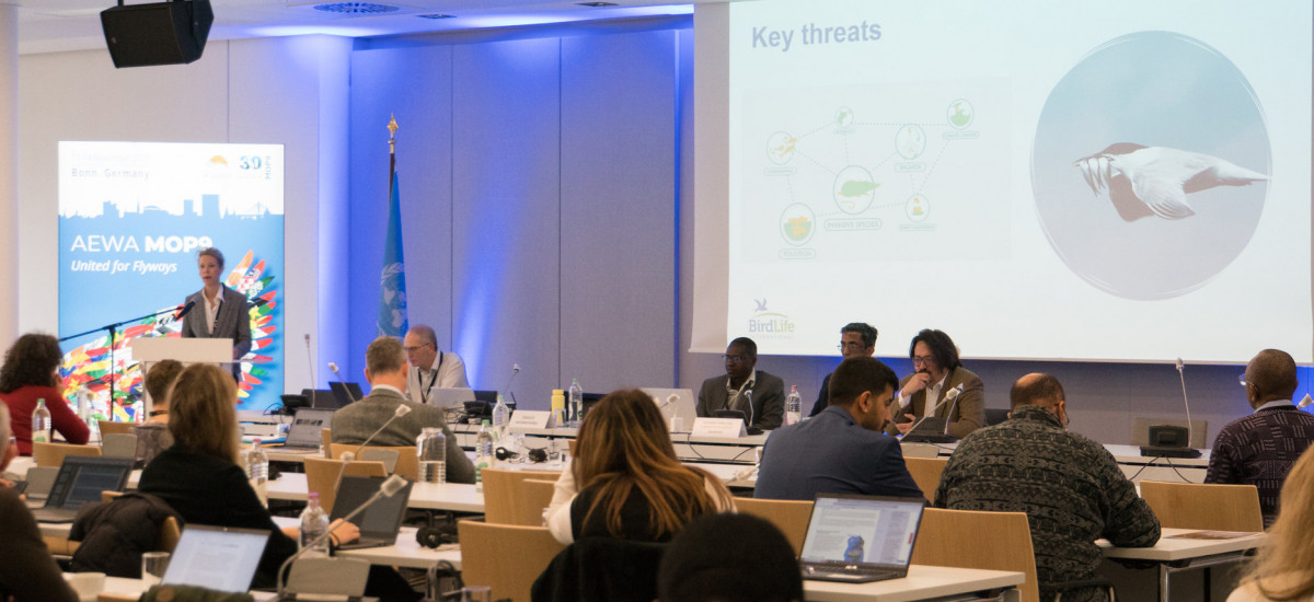 Seabird Side Event Day at AEWA MOP9 held on the UN Campus in Bonn, Germany / Photo by Aydin Bahramlouian (CC BY-NC 4.0)