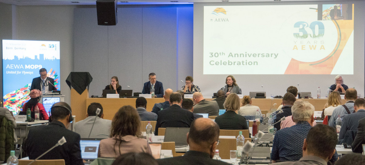 AEWA 30th Anniversary Event at MOP9 on 11 November 2025 at the UN Campus in Bonn, Germany / Photo by Aydin Bahramlouian (CC BY-NC 4.0)