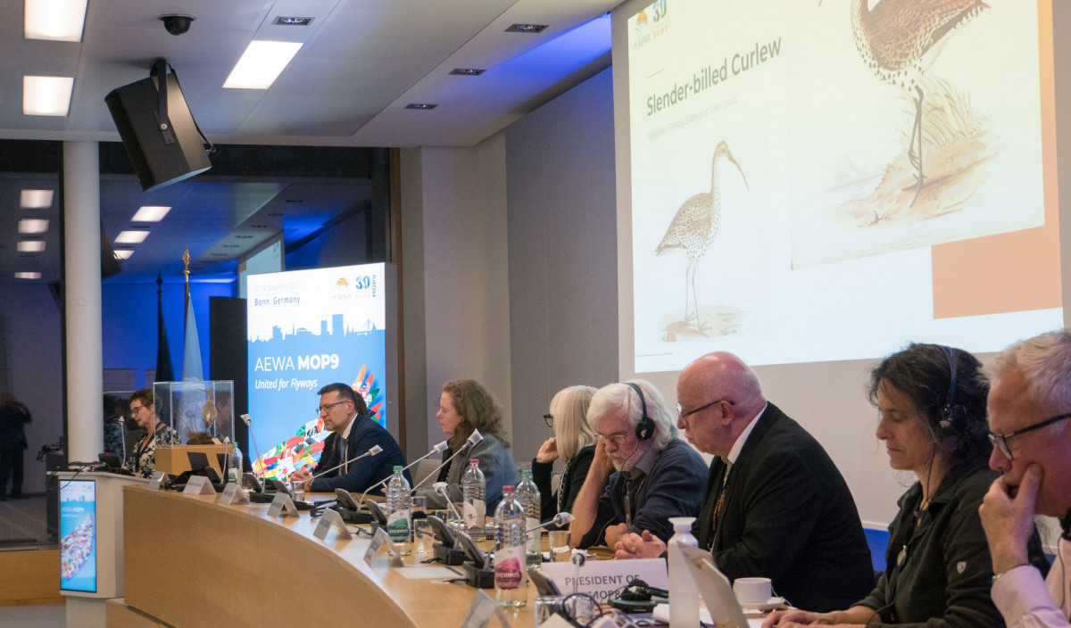 AEWA 30th Anniversary Event at MOP9 on 11 November 2025 at the UN Campus in Bonn, Germany / Photo by Aydin Bahramlouian (CC BY-NC 4.0)